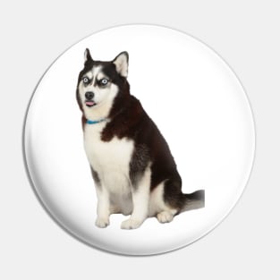 Husky meme Pin