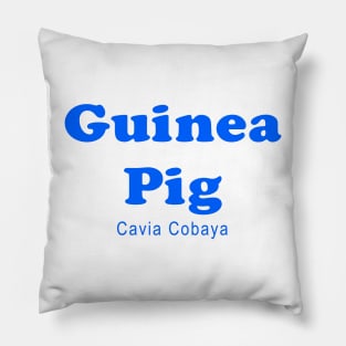 Guinea Pig clinical trial medical research volunteer Pillow