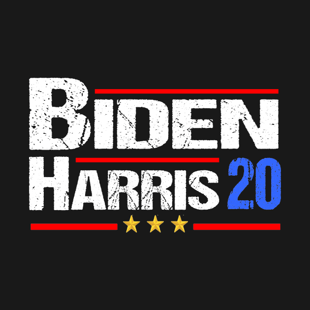 Biden Harris 2020 by NTeez01