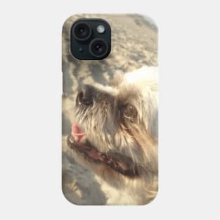 Beautiful photo of shih tzu dog on a beach while smiling Phone Case