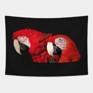 Scarlet macaws Tapestry