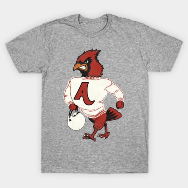 Arizona Cardinals Grey T-Shirt (Men)