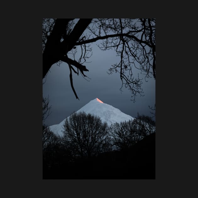 'Alpenglow on Schiehallion', Kinloch Rannoch, Perthshire. by mucklepawprint