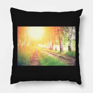 Alley of green birches against sunrise Pillow