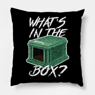 What's in the box? Pillow