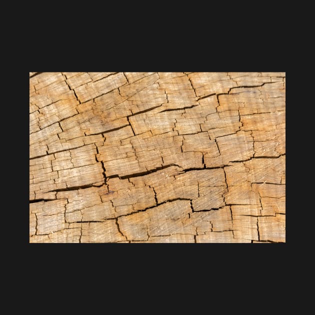 Cracked wood texture by textural