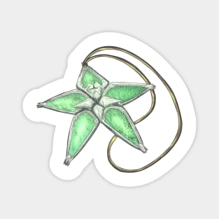 Green Wayfinder (Kingdom Hearts) (No BG) Magnet