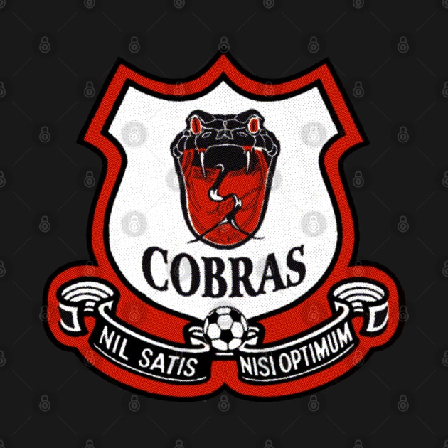 Defunct Cleveland Cobras Soccer 1974 by LocalZonly