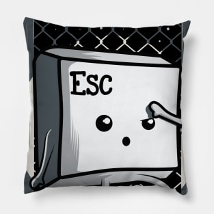 Esc Pillow