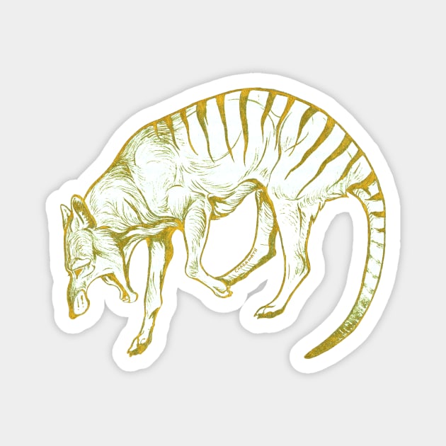 Golden Thylacine Magnet by charamath