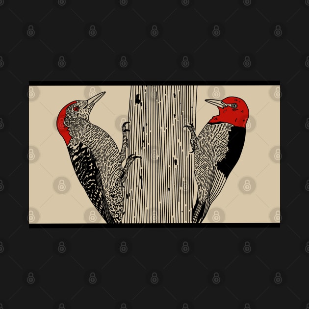 Red Bellied and Red Headed Woodpecker by Forest Press Co