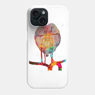 Brain and brainstem Phone Case