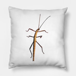 Southern Two-striped Walkingstick Pillow