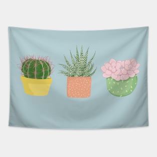 Succulent Pots Illustration Tapestry