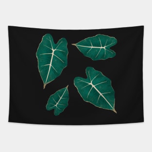 Monstera Leaf Alocasia Illustration Tapestry