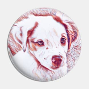 Soulful eyes Brittany Spaniel puppy Pin