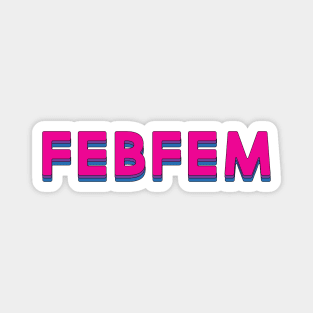 FEBFEM Magnet