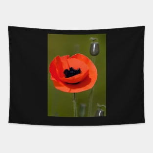 SINGLE POPPY GREEN BACKGROUND Tapestry