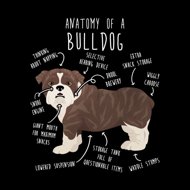 English Bulldog Brindle Dog Anatomy by Psitta