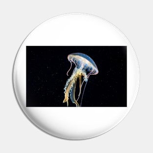 Mauve stinger jellyfish (C032/5362) Pin