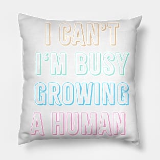 Funny Pregnancy mommy to be Pillow