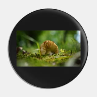 Mushroom Belly in the Green Moss Pin