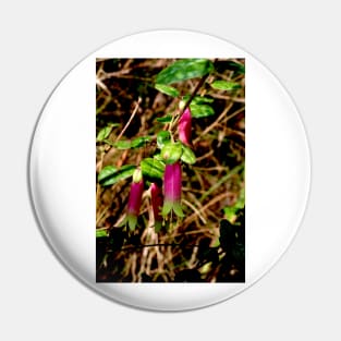 Native Fuchsia Pin