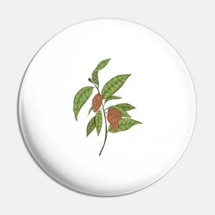 Cocoa Plant Botanical Pin