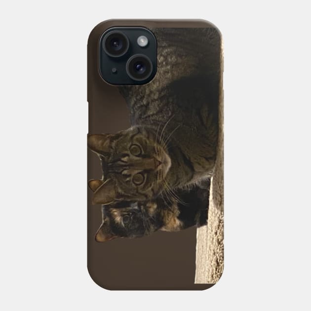 Copy Cats Phone Case by Amanda1775