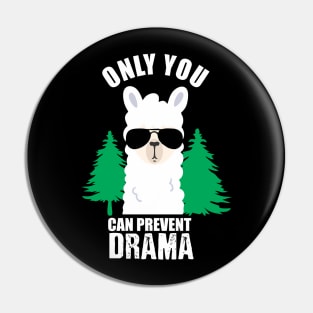 only you can prevent drama Pin