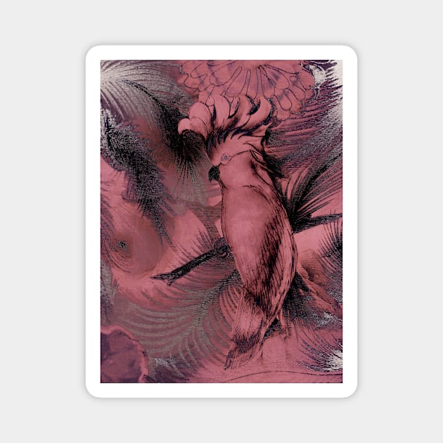 TROPICAL COCKATOO ABSTRACT PARROT ART POSTER EXOTIC PRINT Magnet by jacquline8689