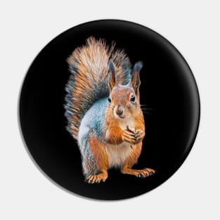 Squirrel - Woodland Themed Kids Room, Funny Gifts For Forester, Cute Animals Pin