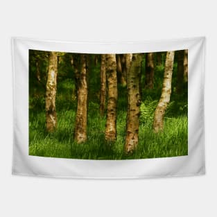 Springtime Silver Birch Tapestry