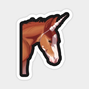 Unicorn Foal Magnet