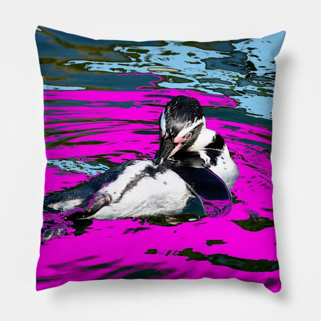 Pinguin / Swiss Artwork Photography Pillow by RaphaelWolf