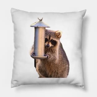 Raccoon Smiling Kawaii Pillow