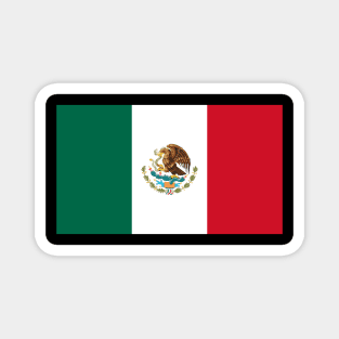 Viva Mexico Magnet