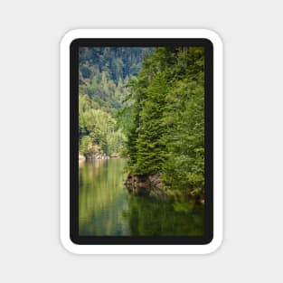 Lake and pine trees Magnet