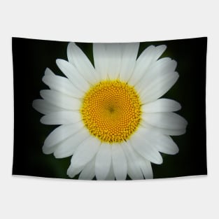 Happy Daisy Flower - White and Yellow Flower on Black Tapestry