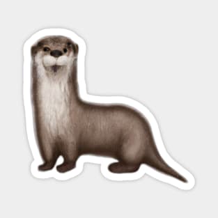 Cute Otter Drawing Magnet