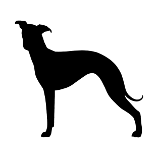 Italian Greyhound Silhouette T-Shirt