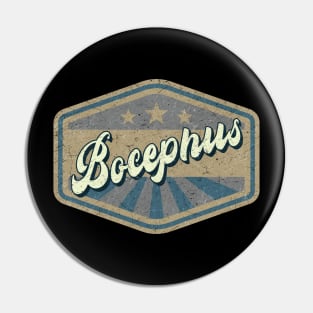 vintage Bocephus Pin