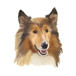 Collie on White Background T-Shirt