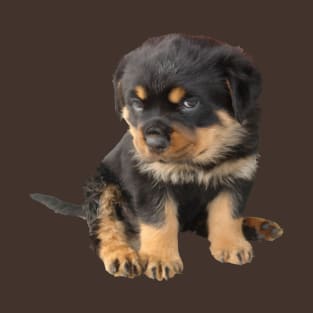 Rottweiler Puppy With Cute Expression Cut Out T-Shirt