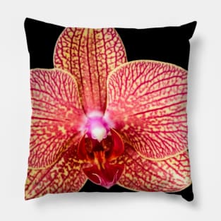 Pink Orchid Pillow