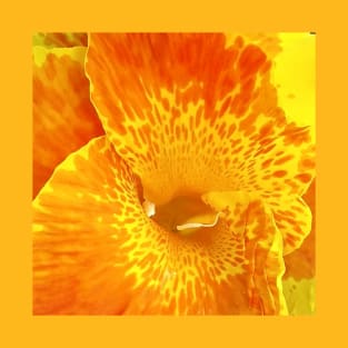 Huge Brilliant Colorful Canna Lily  Flower in Yellow and Orange T-Shirt