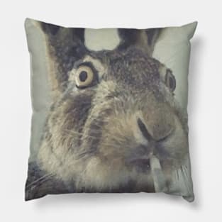 What Rabbit Hole? Pillow