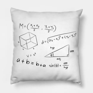 Mathematic Lover Pillow