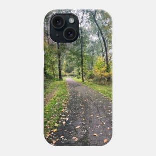 Late September Morning New England Nature Walk - autumn leaves Phone Case