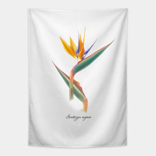 Colorful Bird of Paradise Tapestry